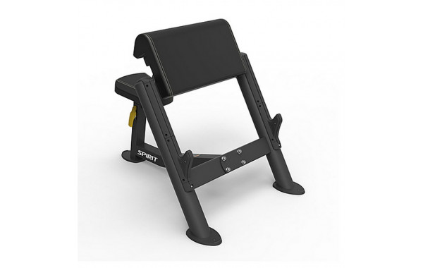 Скамья скотта Spirit Fitness SP-4206 600_380