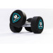 Гантели в уретане 5 кг Live Pro Studio Dumbbells LP8075-05 75_75