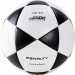 Мяч для футволея Penalty BOLA FUTEVOLEI ALTINHA XXI 5213101110-U р.5 75_75