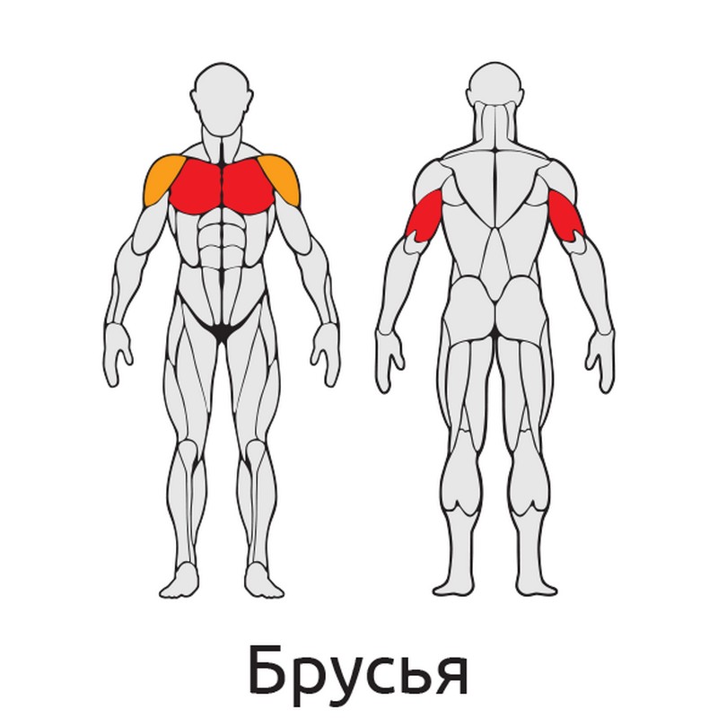 Турник-пресс-брусья Iron King S419 800_800