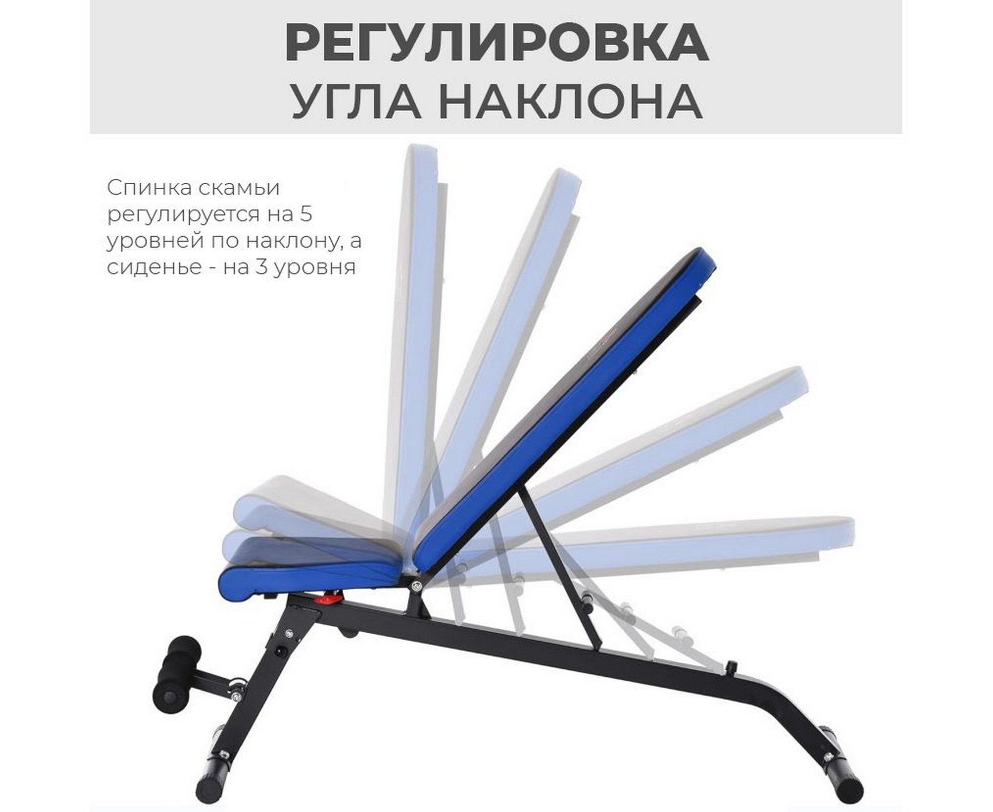 Скамья силовая универсальная DFC Pro Fitness D848 2000_1635