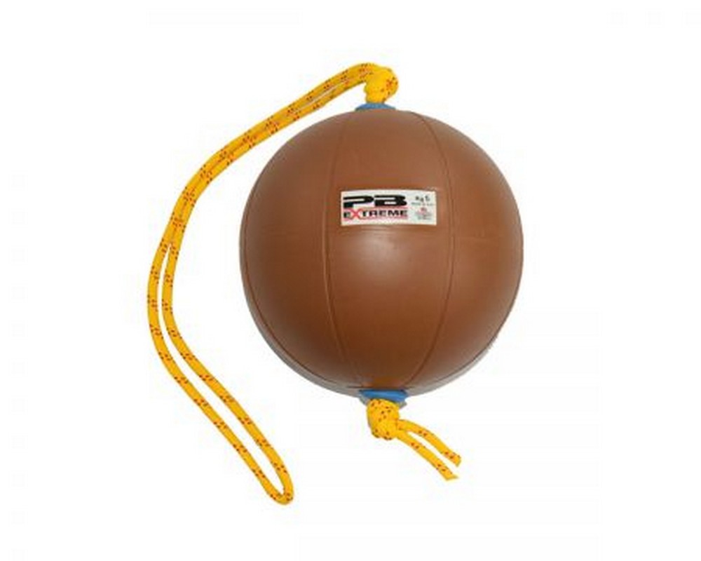 Функциональный мяч 7 кг Perform Better Extreme Converta-Ball 3209-07-7.0 черный 1000_800