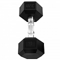 Гантель шестигранная 10 кг UFC UHA-69711 120_120