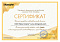 Сертификат на товар Пластиковые качели-диск Kampfer Лиана 53656 зеленый